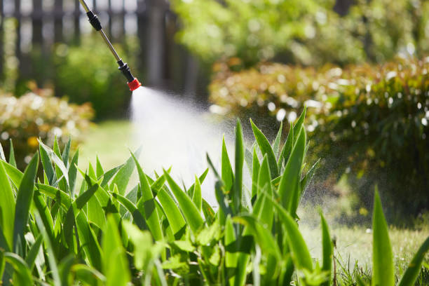 24/7 Emergency Mosquito Control experts in Troy, OH