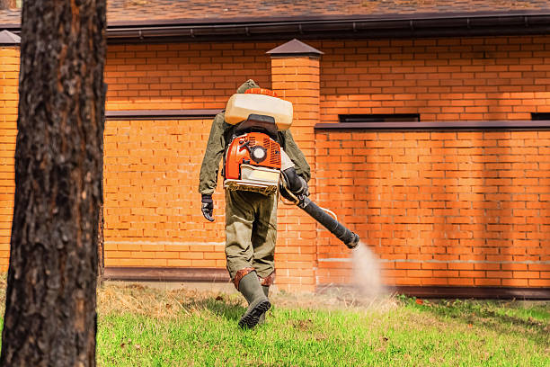 Top rated local Mosquito Control specialists in Troy, OH